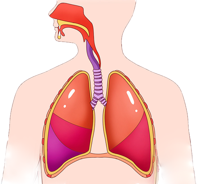 J9����(china)��˾����