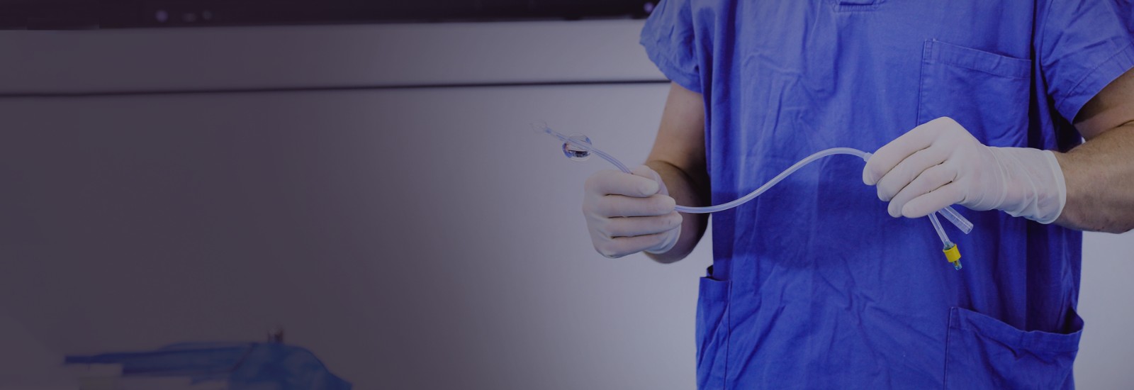 ���������͹轺�����